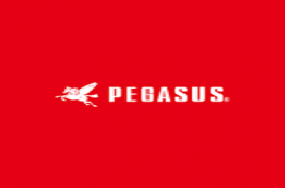PEGASUS